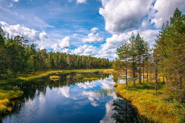 Pastoral yaz manzarası ile Finlandiya gölde temizleyin — Stok fotoğraf