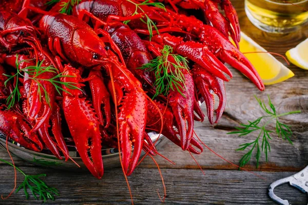Boiled crayfish with dill — Stock Photo, Image