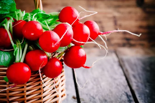 parlak taze organik turp yaprakları ile 