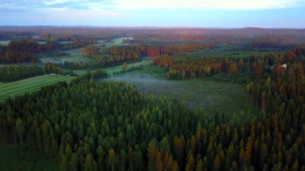 Vídeo aéreo do nevoeiro ao pôr-do-sol. Bela vista da floresta e campos . — Vídeo de Stock