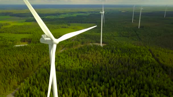Turbinas eólicas en el bosque en día nublado — Vídeo de stock
