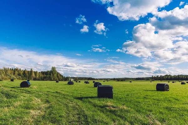 Vackra gröna landskapet. Runda halmbalar i svart plast i gröna fältet — Stockfoto