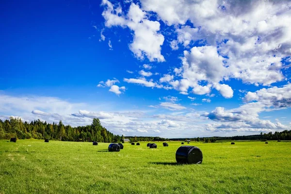 Hermoso paisaje rural. Pacas redondas de paja en plástico negro en campo verde —  Fotos de Stock