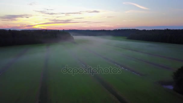 Vídeo aéreo de la niebla sobre el campo al atardecer. Hermosa vista del bosque y los campos . — Vídeo de stock