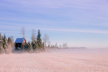 Sabah kış manzarası. Kar ağaçlar ve sahada Dondurucu Sis.
