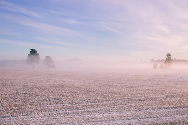 Paisagem de inverno. Neve e nevoeiro gelado no campo . — Fotografia de Stock