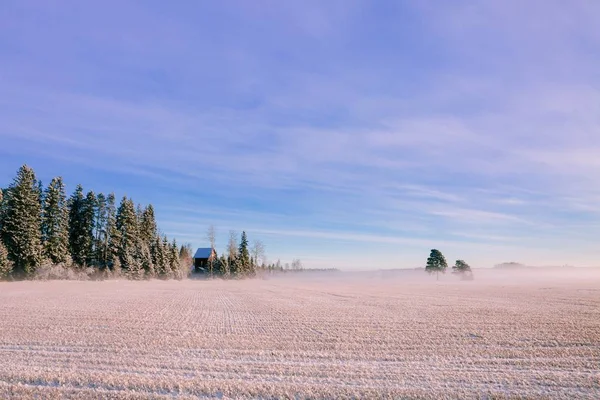 Paisagem de inverno. Neve e nevoeiro gelado no campo . — Fotografia de Stock