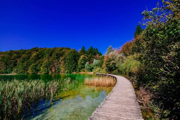 Sendero turístico de madera en el Parque Nacional de Plitvice, Croacia — Foto de Stock