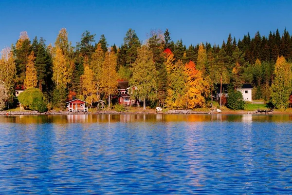 Autumn forest reflected in water. Finland