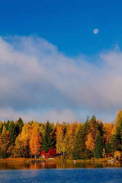 Bosque otoñal reflejado en el agua. Finlandia — Foto de Stock