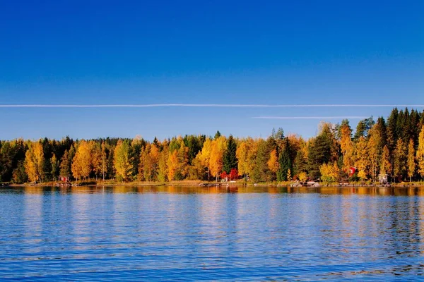 Őszi erdő tükröződik a vízben. Finnország — Stock Fotó