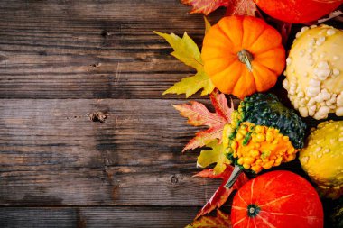 Renkli kabaklar ve sonbahar yaprakları ahşap arka plan üzerinde. Üstten Görünüm