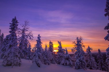 Hoarfrost ve kış dağlar karla kaplı ağaçlar