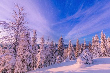 Trees covered with hoarfrost and snow in winter mountains clipart