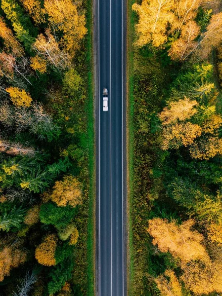 Carretera en la vista aérea del bosque de otoño — Foto de Stock