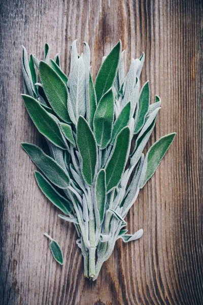Fresh raw sage leaves on wooden table. — Stock Photo, Image