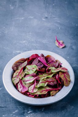 Taze organik çiğ yaprakların marul pancar salatası için karanlık bir arka plan üzerinde. 