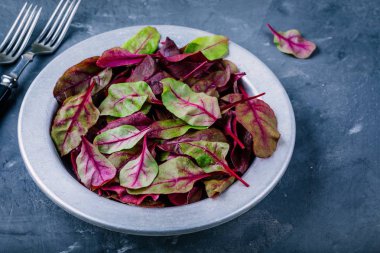 Sebze salatası için malzemeler. Taze organik çiğ yaprakların marul pancar karanlık bir arka plan üzerinde. 