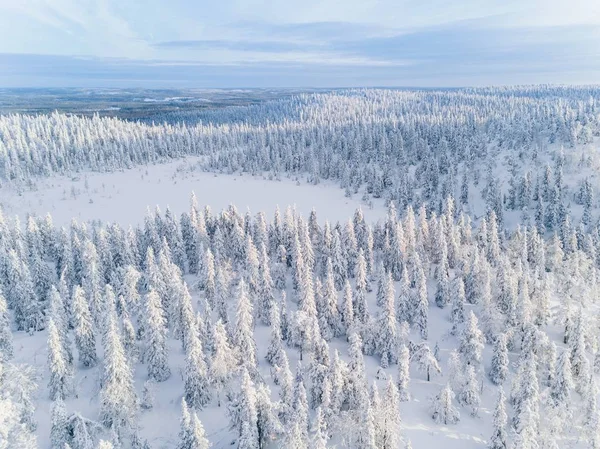 Vista aérea da floresta de inverno coberta de neve na Finlândia, Lapônia . — Fotografia de Stock