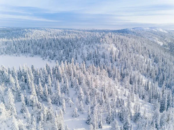 Vista aérea da floresta de inverno coberta de neve na Finlândia, Lapônia . — Fotografia de Stock