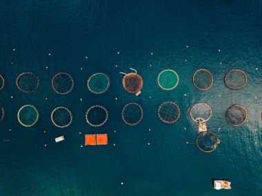 Yüzer kafesleri ile çiftlik Somon Balık. Havadan görünümü