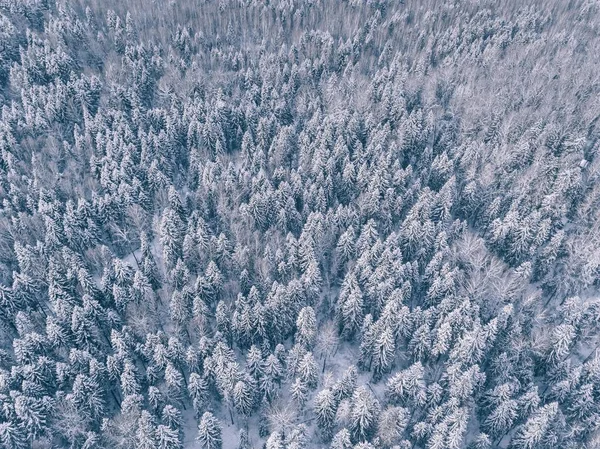 覆盖着冰雪的冬季森林的空中景观. — 图库照片