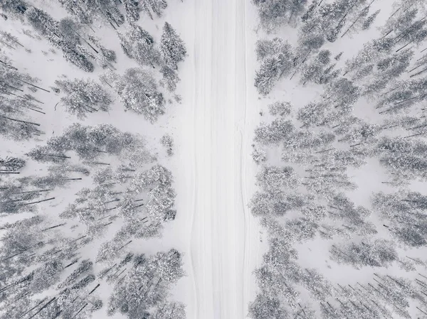 Antenowe drone widok Zima Las i drogi pokryte śniegiem. — Zdjęcie stockowe