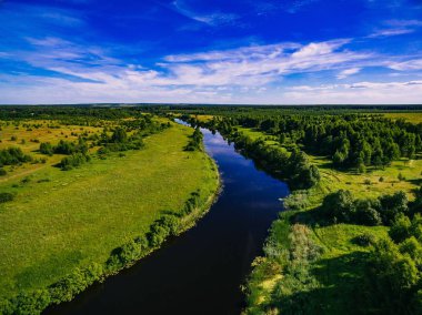 Yaz manzara orman Nehri'nin havadan görünümü
