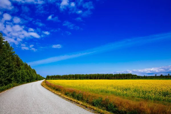 Platteland weg langs geel koolzaad bloemen veld en de blauwe hemel in landelijke Finland — Stockfoto