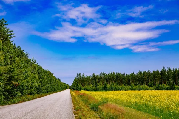 Platteland weg langs geel koolzaad bloemen veld en de blauwe hemel in landelijke Finland — Stockfoto