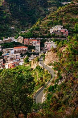 Manarola şehir görüntüsü. Cinque Terre Milli Parkı, Liguria İtalya.