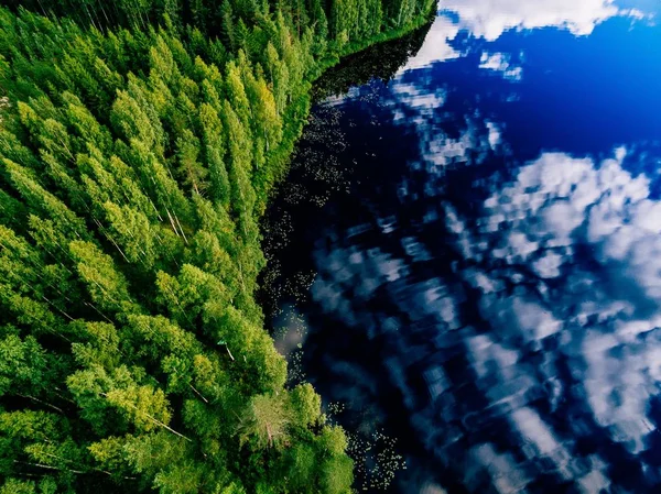 Пташиного польоту синє озеро і зелених лісів у Сонячний літній день у Фінляндії. — стокове фото