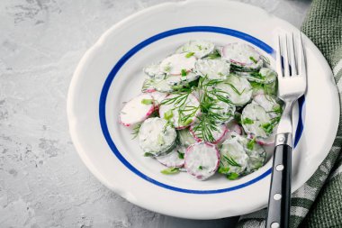 Turp ve salatalık, yeşil soğan ve ekşi krema sos ile dereotu ile yaz salatası