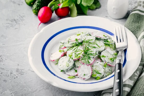 Ensalada de verano con rábano y pepino, cebolla verde y eneldo con aderezo de crema agria —  Fotos de Stock