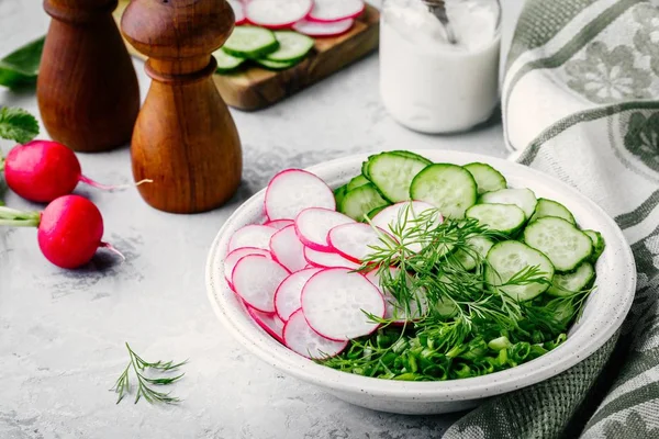 Ingrediënten voor zomer salade. Plakjes komkommer, groene uien, radijs en dille — Stockfoto