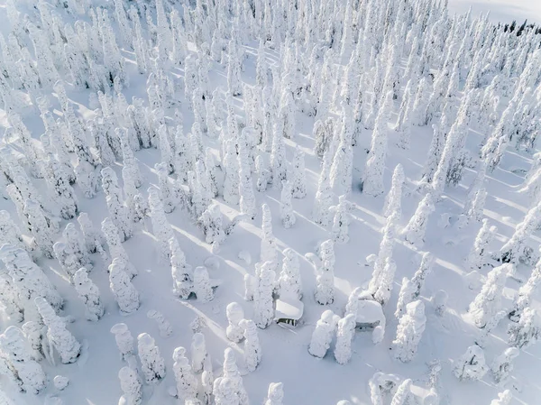 Flygfoto över snötäckta vinterskogslandskapet i Finland — Stockfoto