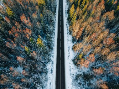 Ormanda karla kaplı ağaçlar ve kışın boş yol manzarası.