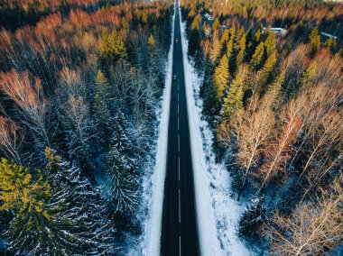 Ormandaki ağaçların karla kaplı olduğu hava manzarası ve bir arabayla kış kırsal yolu.