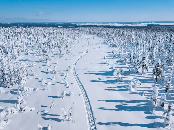 Aerial view of white winter forest with snow covered trees and rural road in Finland — Stockfoto