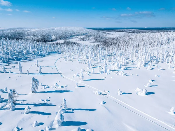 Aerial view of white winter forest with snow covered trees and rural road in Finland — Stockfoto