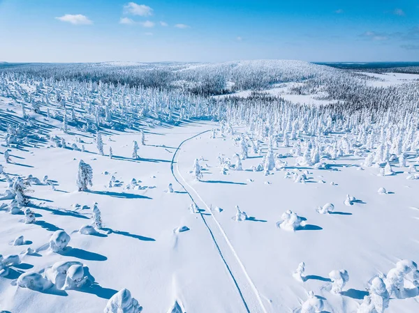 Aerial view of white winter forest with snow covered trees and rural road in Finland — Stockfoto