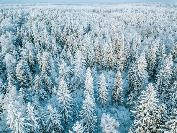 Vista aérea de árboles de bosque de invierno cubiertos de nieve en Finlandia . — Foto de Stock