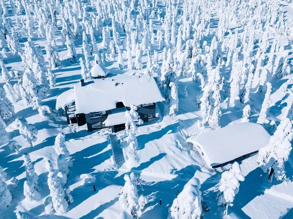 Widok z lotu ptaka drewniana chata i pokryte śniegiem drzewa zimą Finlandia Laponia. — Zdjęcie stockowe