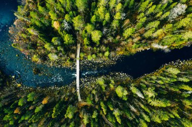 Finlandiya 'daki yeşil çam ormanlarından hızlı nehrin havadan görünüşü