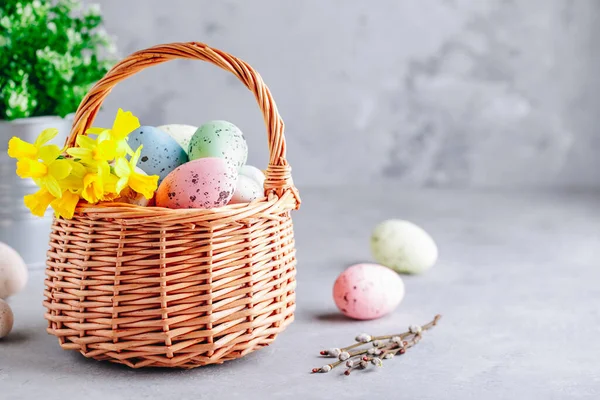 Huevos Pascua Coloridos Cesta Con Flores Narciso Sobre Fondo Hormigón — Foto de Stock