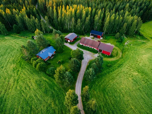 Aerial View Red Farm House Green Summer Forests Rural Finland — Stock Photo, Image