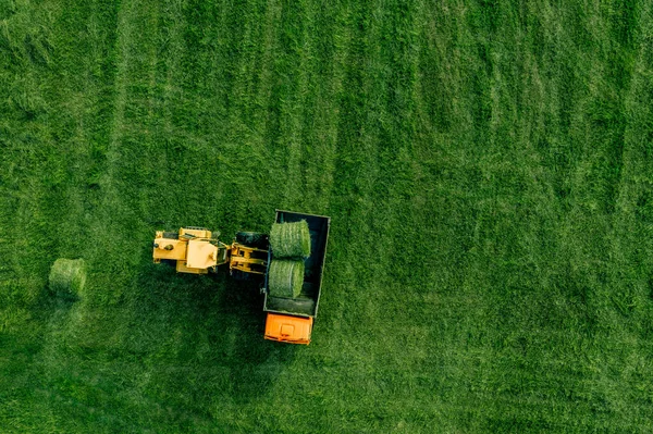 Flygfoto Grönt Gräs Skörd Fält Med Traktor Flyttar Höbalen Finalnd — Stockfoto