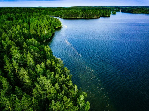 Letecký Pohled Modré Jezero Zelený Les Letní Den Finsku — Stock fotografie