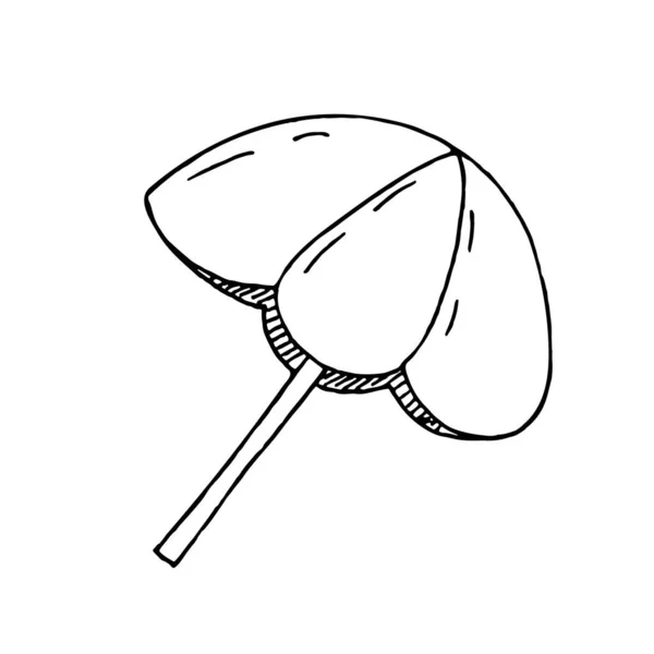 Handgezeichnete Vektorillustration Element Ohne Hintergrund Regenschirm Für Einen Ausflug Die — Stockvektor