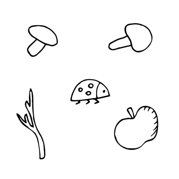 Hand Drawn Vector Illustration Element Background Mushrooms Apple Ladybug Twig — Stock Vector